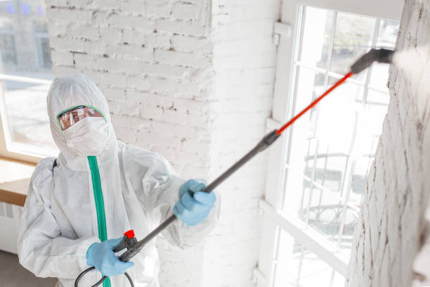 Best Environmental Consulting for Mold Prevention  in Bellefonte, DE